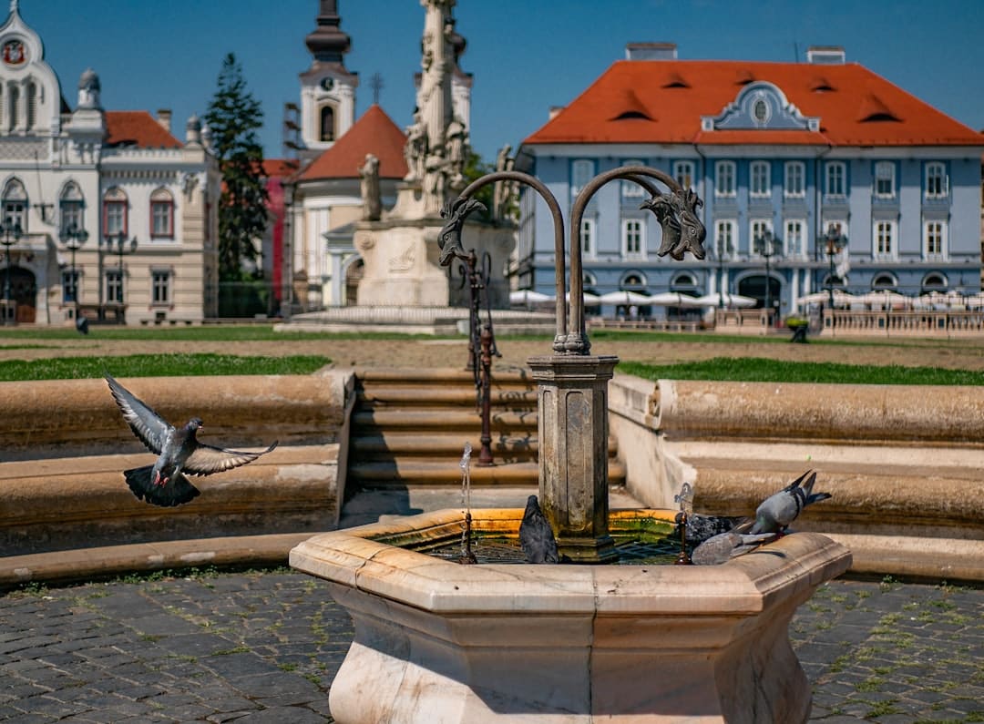 Recreation Travel Timisoara : Qu'est-ce que c'est et pourquoi choisir ce séjour détente ?