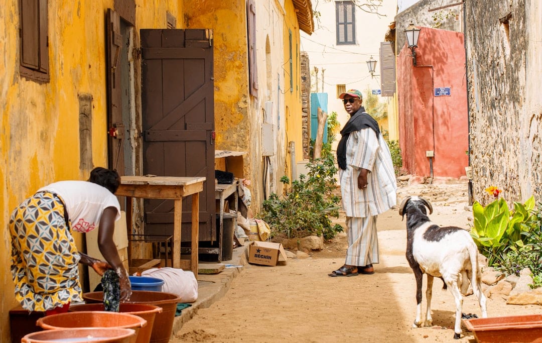 Traditions et culture du Sénégal : richesse et diversité à découvrir