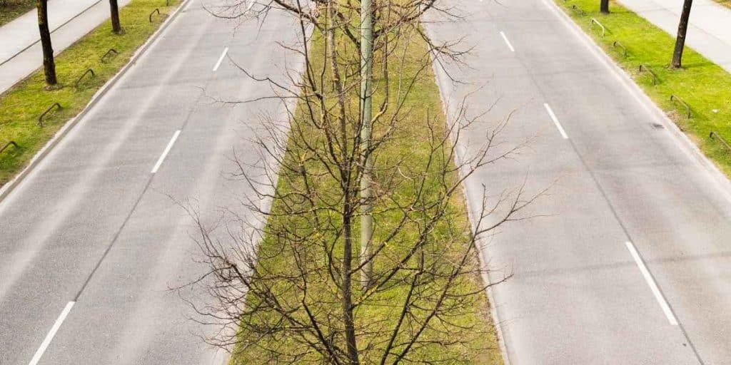 voyager sans voiture